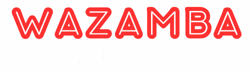 Προεπισκόπηση Wazamba Casino